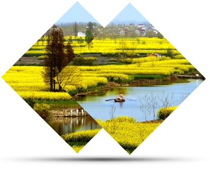 選地